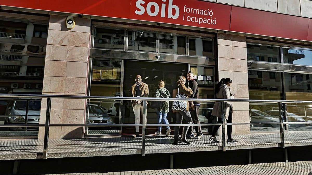 La Feria Del Empleo De Palma Oferta M s De 1 600 Empleos