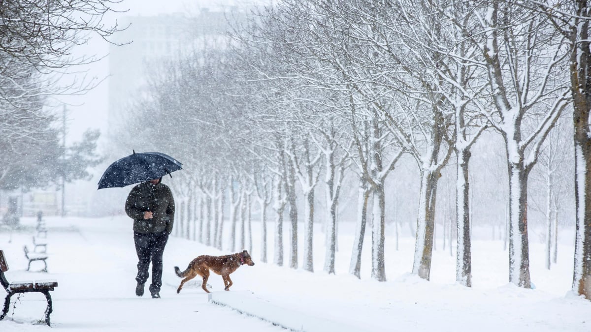 hombre pasea junto a su perro por un parque lleno de nieve