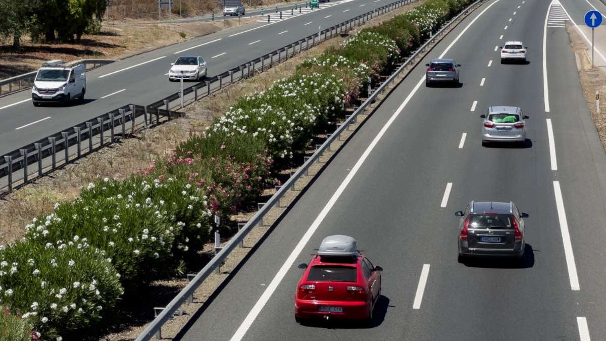 La DGT Elimina Los Cursos De Recuperación De Puntos ¿qué Harán Ahora ...