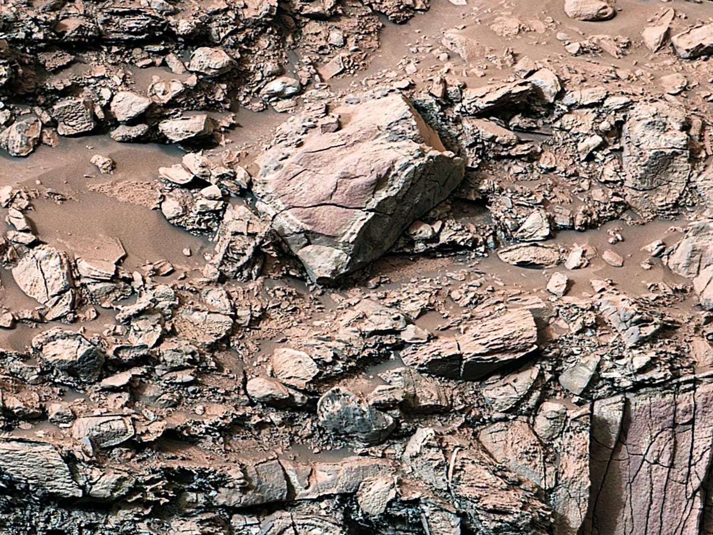 Mientras exploraba el canal Gediz Vallis en mayo, Curiosity captó rocas de color pálido cerca de sus bordes