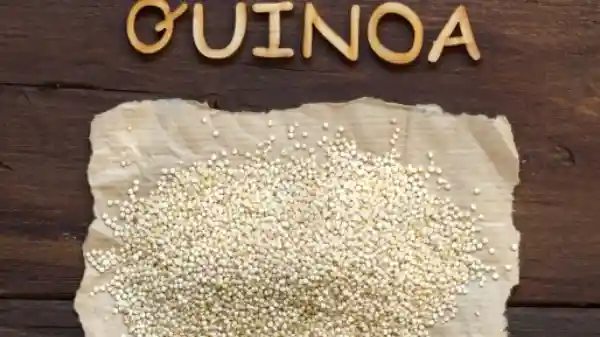 alimentos ricos en hierro: Quinoa
