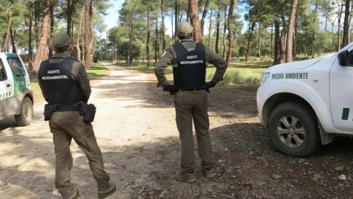 Dos agentes medioambientales en un campo.