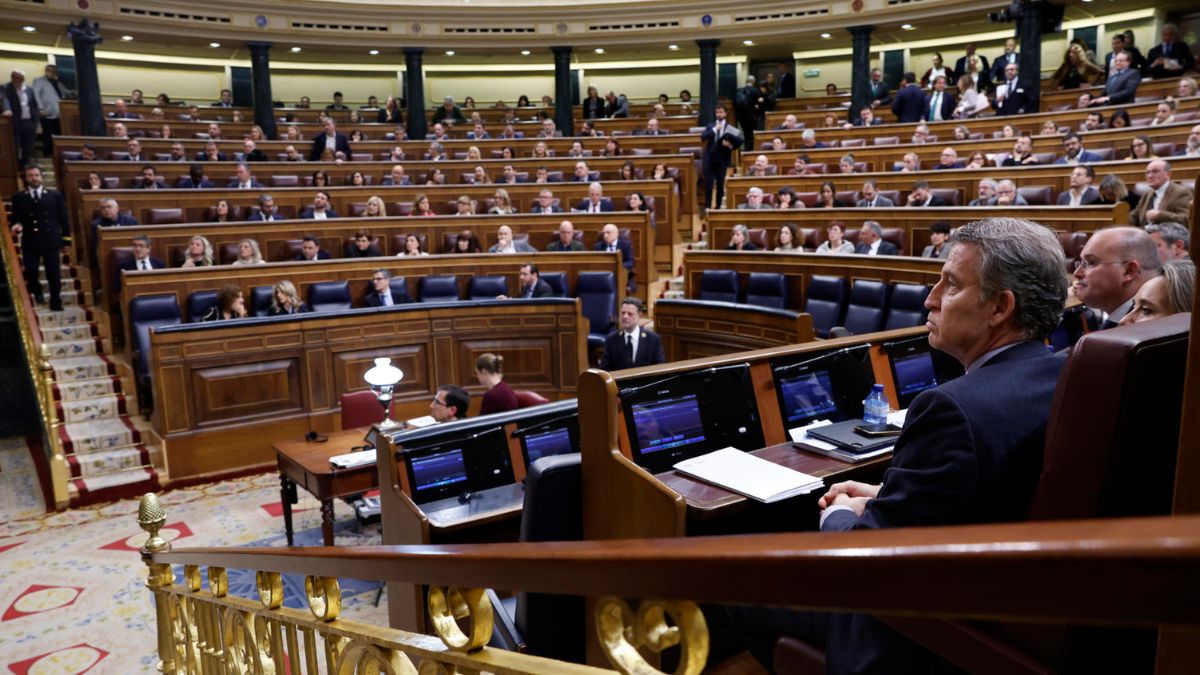 Alberto Núñez Feijóo en el Congreso de los Diputados