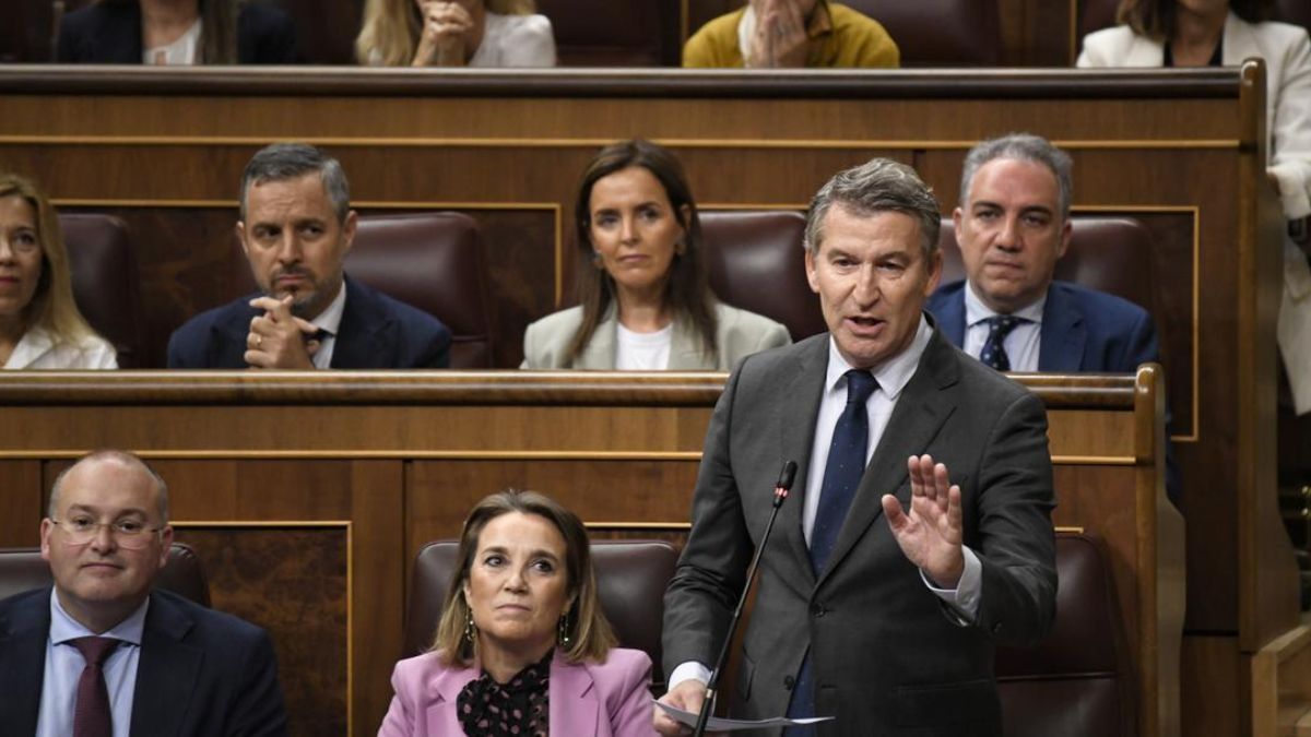 Alberto Núñez Feijóo habla en el Congreso de los Diputados.