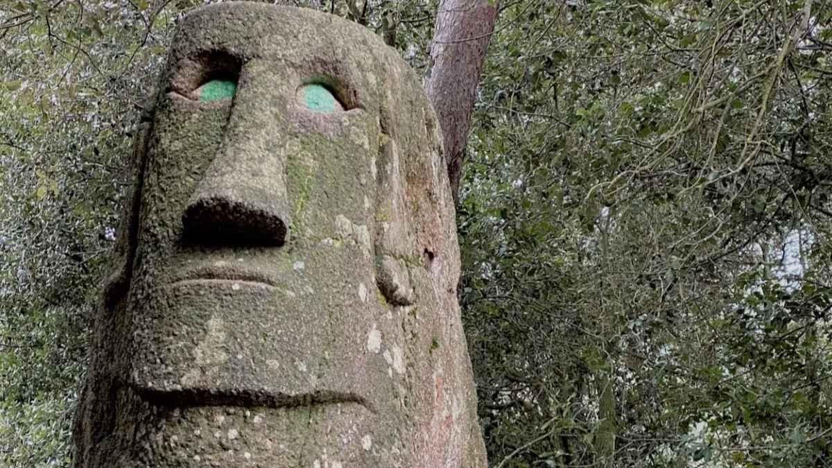 Una de las caras del Bosque Orrius