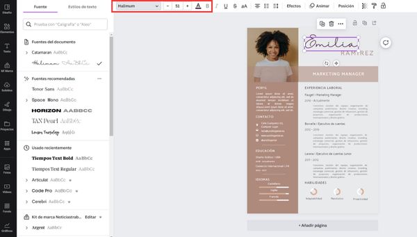 Cambiar tipografía del cv en Canva 