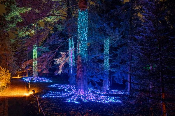 Espectáculo de luces de Navidad en el Jardín Botánico de Málaga