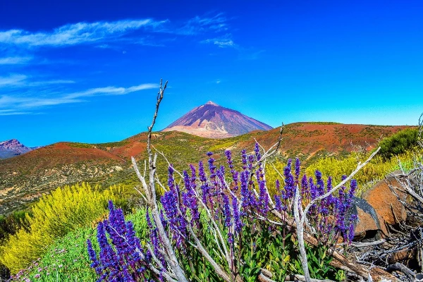 Parque Natural del Teide