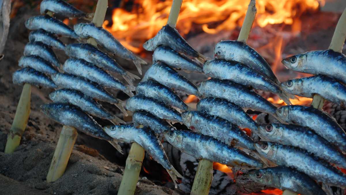 Espeto de sardinas típico de Málaga