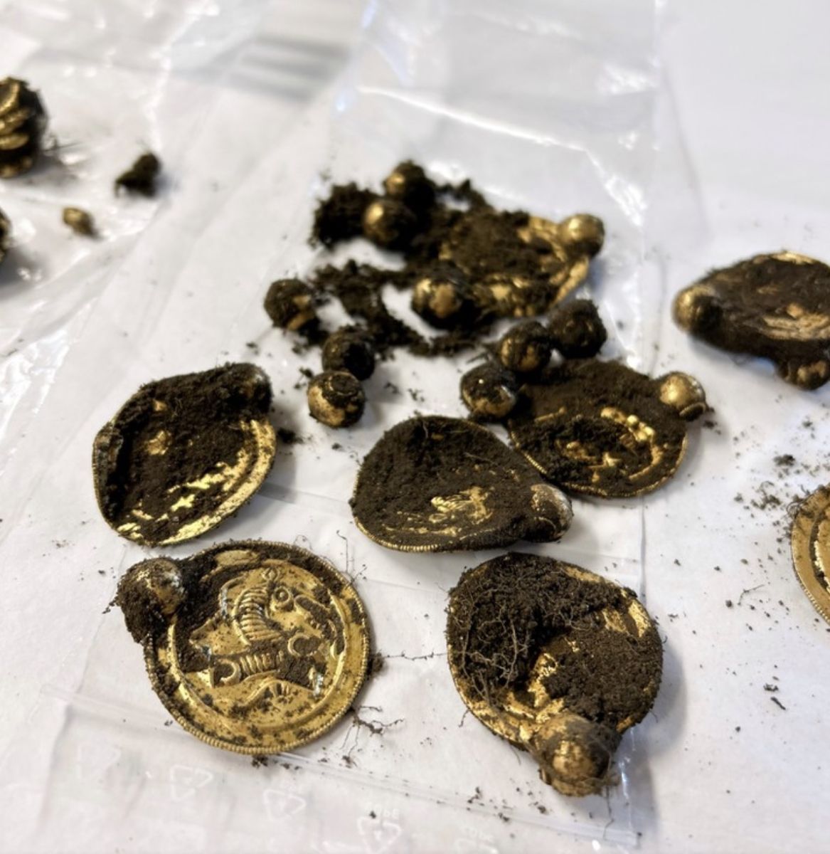 Monedas de oro descubiertas con barro