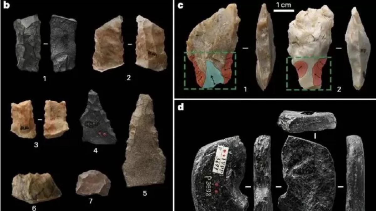 Herramientas del Homo sapiens en China