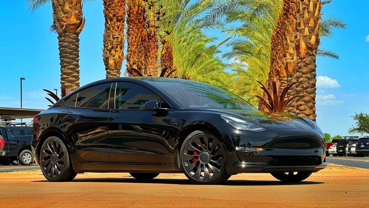 Tesla modelo Arizona aparcado bajo palmeras