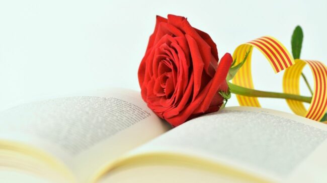 un libro y una rosa